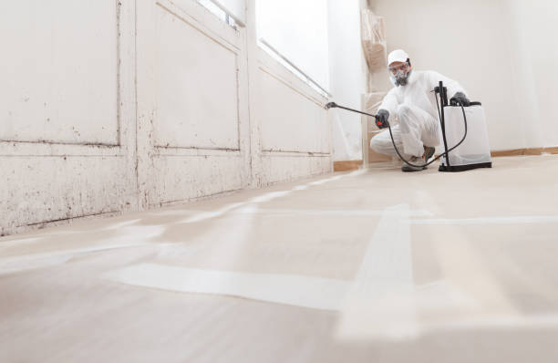 24/7 Emergency Mold Remediation experts in Conshohocken, PA